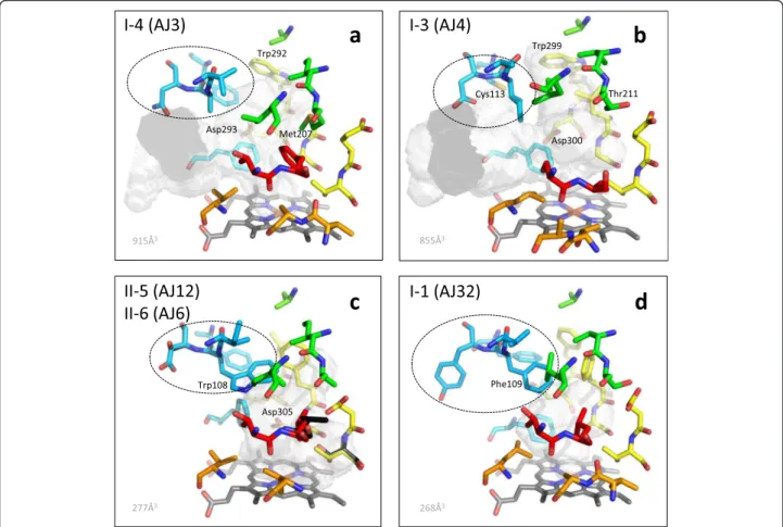 Fig. 4 Potential active site configurations for five CYP71AJ groups. The homology models were constructed in CPHmodels-3.2 and VOIDOO was used for cavity calculations