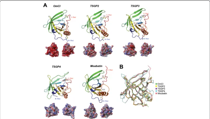 Figure 5 Tertiary structures of tick salivary lipocalins. Panel A displays the crystal structure of the tick lipocalin OmCI from O