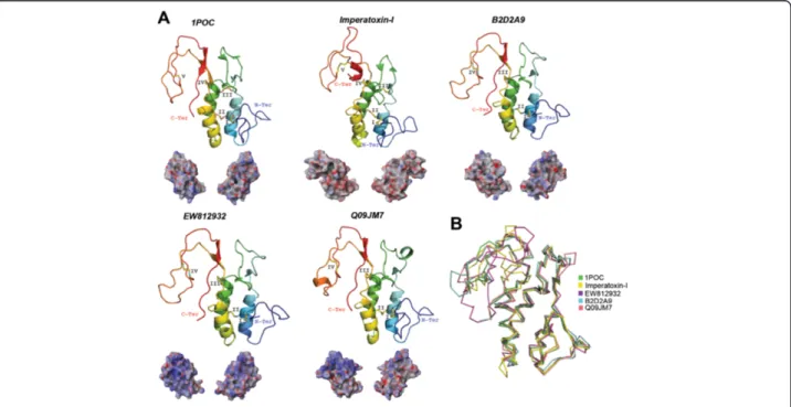Figure 6 Tertiary structures of tick salivary PLA 2 . Panel A displays the crystal structure of the PLA 2 from bee venom of A