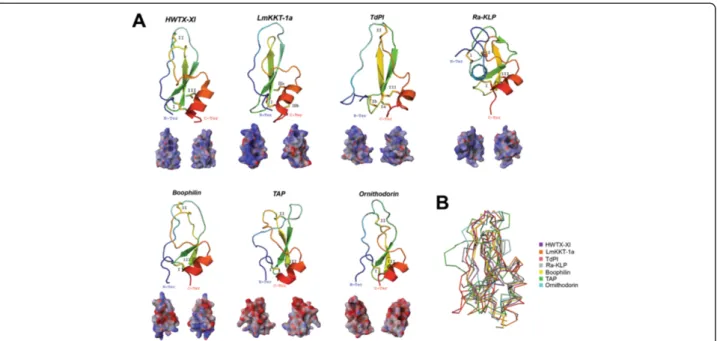 Figure 2 Tertiary structures of tick salivary Kunitz peptides. Panel A displays tertiary structure of toxins from spider (HWTX-XI; PDB: 2JOT) and scorpion (LmKKT-1a; PDB: 2 M01), and five tick salivary Kunitz-like peptides (PDBs: TAP-1D0D; ornithodorin-1TO
