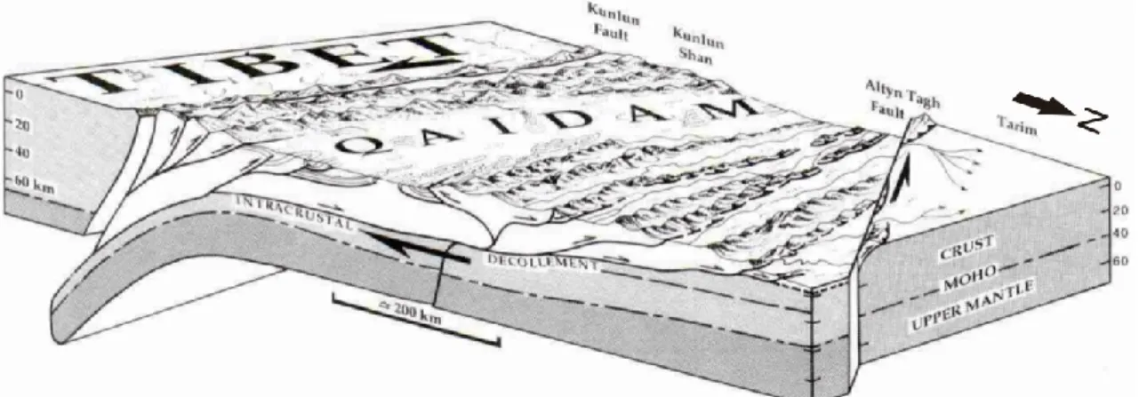 Figure R2 : Modèle de propagation vers le nord du prisme d’accrétion du Kunlun. D’après Meyer et al