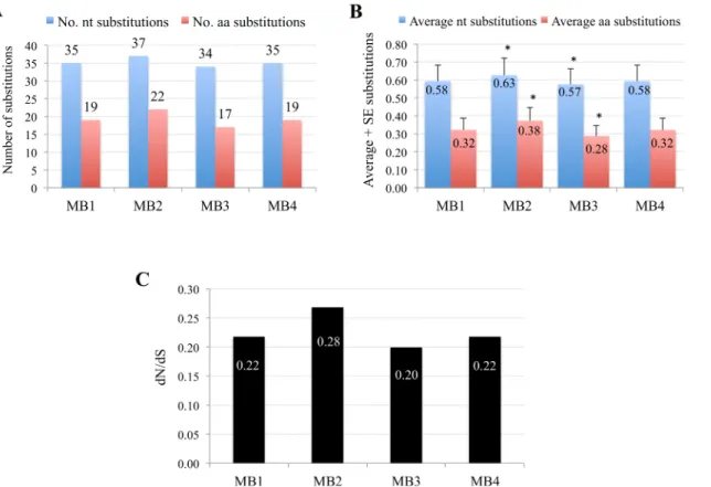 Fig 7. Nucleotide substitution rate analysis in antigen-coding genes. (A) The total number and (B) the average + standard error (SE) of nucleotide (nt) and amino acid (aa) substitutions were calculated in 81 antigen-coding genes conserved in MB1-MB4 isolat