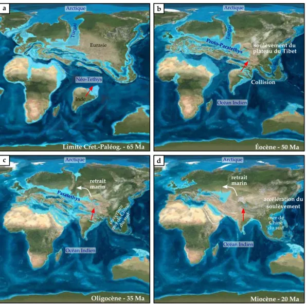 Figure 1.7 – Évolution de la paléogéographie de l’Asie au cours du Cénozoïque : à la limite Crétacé-Paléogène, 65 Ma (a.) ; à l’Éocène, 50 Ma (b.) ; à l’Oligocène, 35 Ma (c.) et au Miocène, 20 Ma (d.)