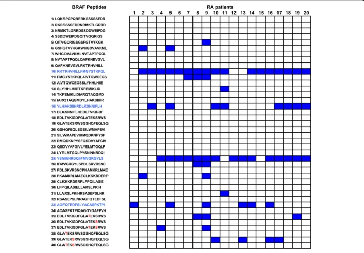 Figure 1 Autoantibodies to BRAF recognize four linear peptides P10, P16, P25, P33. Anti-BRAF autoantibodies from the sera of 20 RA patients were tested for binding to BRAF peptides by ELISA