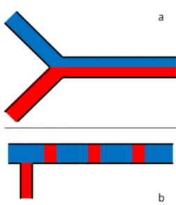 Figure 1. Schematic representation of a two-fluid flow with radial (a) or axial (b) heterogeneity  before diffusion mixing operates