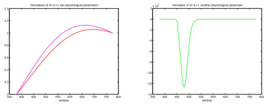 Figure 5. Derivatives of S r (λ) w.r.t. various physiological parameters