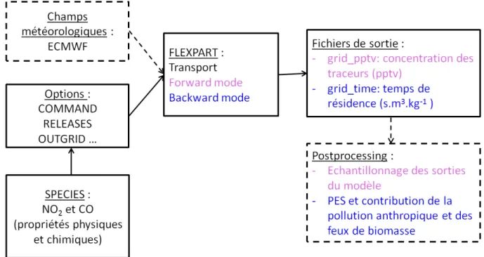 Figure 2.7 — Schéma simplifié de la structure de FLEXPART dans le cadre de nos études.