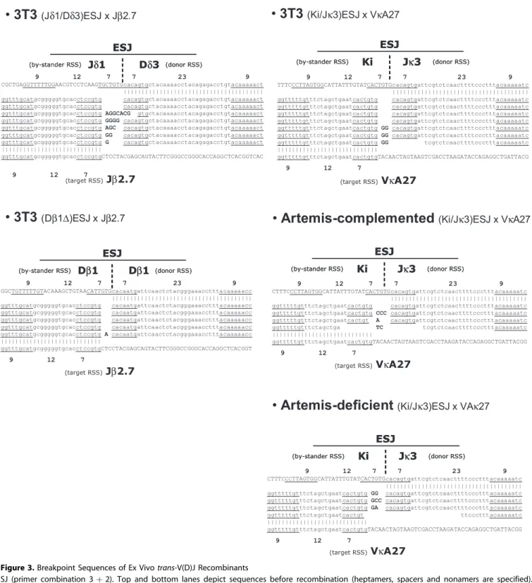 Figure 3. Breakpoint Sequences of Ex Vivo trans-V(D)J Recombinants