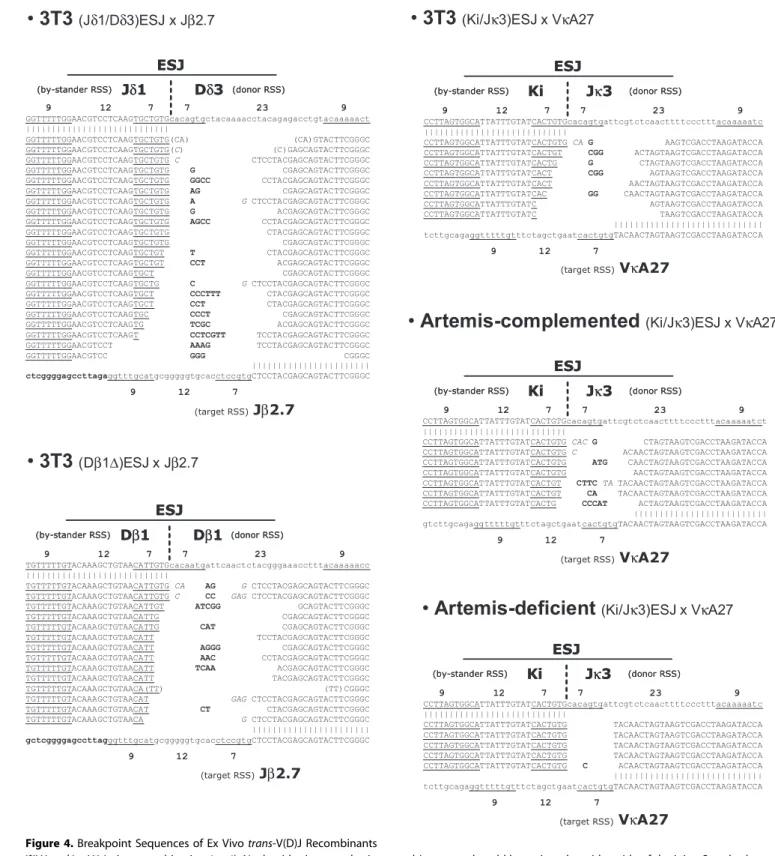 Figure 4. Breakpoint Sequences of Ex Vivo trans-V(D)J Recombinants