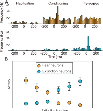 Figure 2. Schematic network model diagrams of the BA. (A) Firing rate model. Two neuron populations A and B are mutually coupled with negative weights