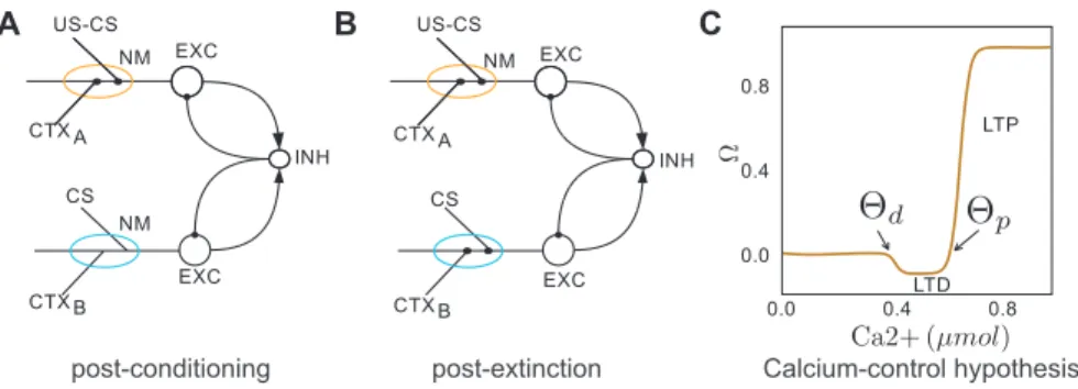 Fig. 4 shows the response of the mean-field model, i.e. the firing rate model, of BA during fear conditioning and extinction.