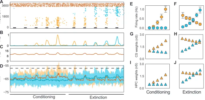 Figure 5. Dynamics of the spiking network model of BA. Five US-CS stimulations were used for conditioning and six CS stimulations for extinction