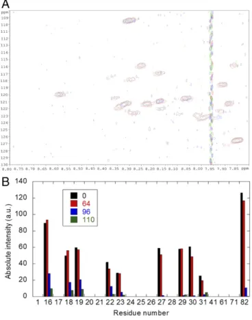 Fig. 3. Interaction of wild-type NUPR1 and C-RING1B mapped by HSQC spectra of NUPR1. (A) Overlay of wild-type NUPR1 spectra in the presence of different amounts of C-RING1B: 0 (black), 64 (red), 96 (blue), and 110 (green) μ M (all indicated in protomer uni