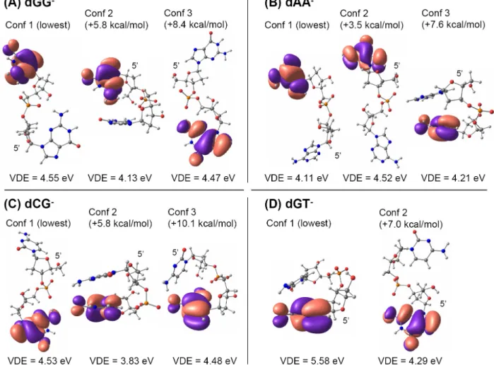 Figure 7. Relative energies (HF 6-31G+(d,p) + MP2 correction), HOMOs (HF 6-31G+(d,p)), and VDEs  (HF  6-31G+(d,p)  +  MP2  correction)  of  different  conformers  of  the  deprotonated  dinucleotides  monophosphates (A) dGG - , (B) dAA - , (C) dCG - , and 