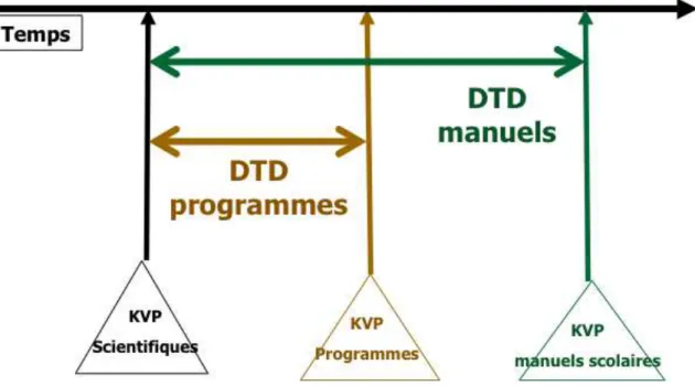 Figure 1. Le Délai de Transposition Didactique (DTD) (modifié d’après Quessada &amp; Clément 2007)