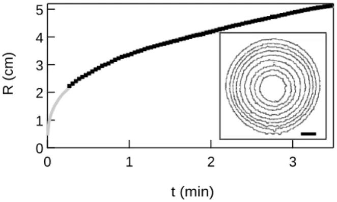 FIG. 6. Radius R vs. time t – In agreement with Q constant and simple geometrical arguments, R scales like t 1/3 [Black dots, experimental data; grey line, Eq
