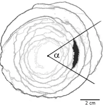 FIG. 11. Angular size α and parameter Φ vs crater angle θ c – The typical angular size of the avalanches, α and the parameter Φ (Eq