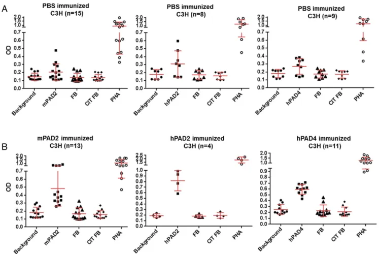 Fig. 3. T cell responses to PADs in C3H mice. Spleen and lymph nodes were obtained at 65 d postimmunization for PBS-immunized mice (A) or PAD- PAD-immunized mice (B)