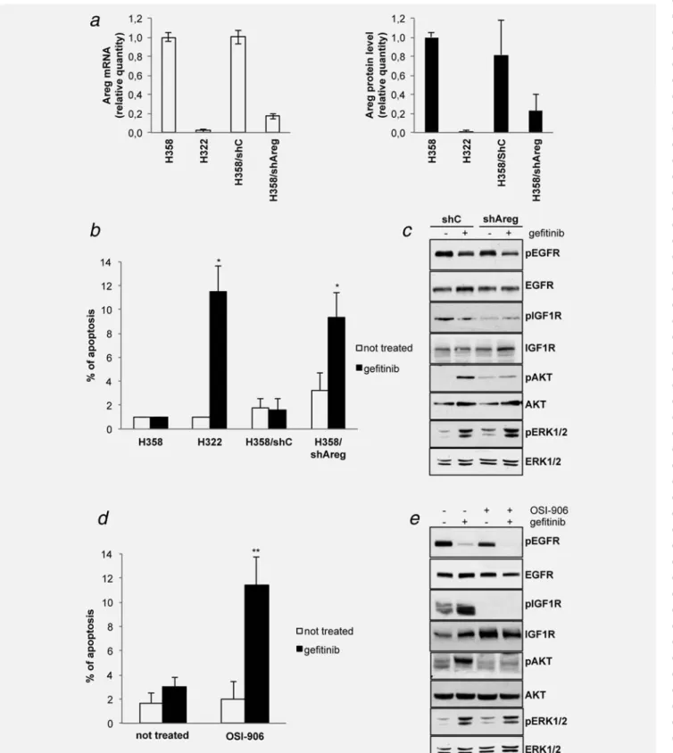 Figure 2. Amphiregulin or IGF1R inhibition restored gefitinib sensitivity and decreased p-AKT levels