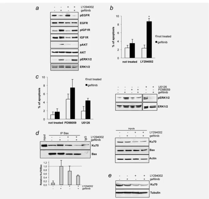 Figure 3. PI3K/AKT inhibition restored gefitinib sensitivity. H358 cells were treated with 25 lmol/L LY294002, 20 lmol/L PD98059 or U0126 and/or 0.5 lmol/L gefitinib, as indicated