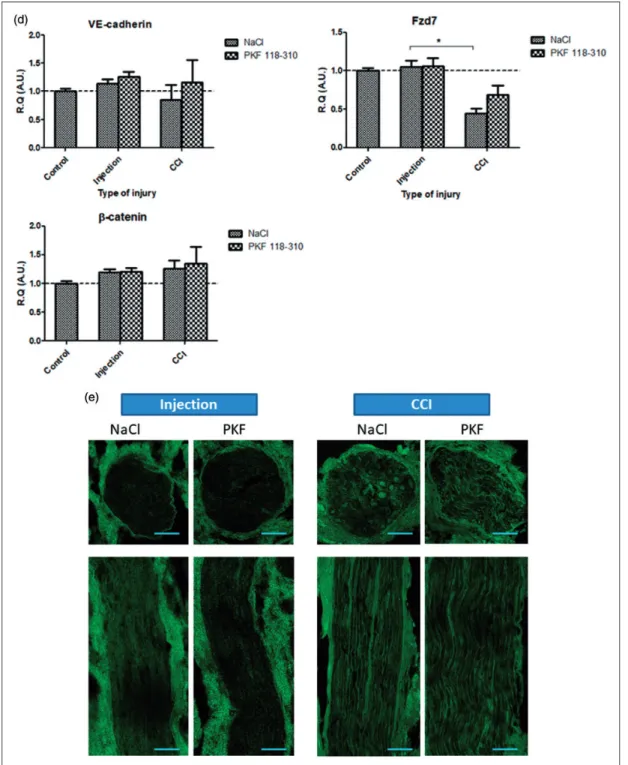 Figure 4. Continued.