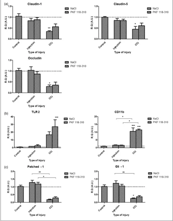 Figure 4. In vivo, at 3 h post-injury, inhibition of Wnt/b-catenin signaling could not prevent the molecular and vascular alterations following infraorbital nerve chronic constriction injury (IoN-CCI)