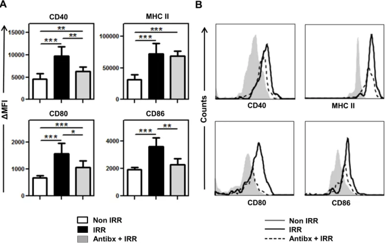 Fig 4. Antibiotics partially block irradiation-induced activation of CD8 + DC. (A) Non-irradiated, irradiated and antibiotic-treated irradiated groups of BALB/c mice have been described in Fig 2