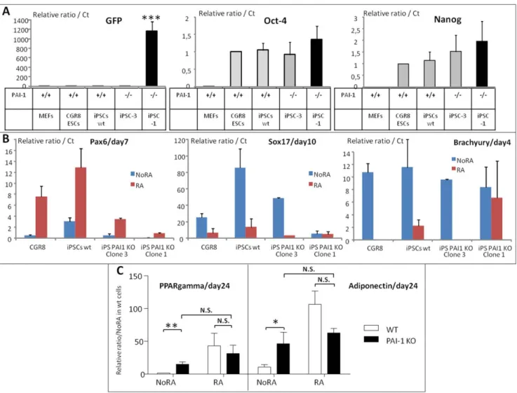 Figure 8. characterization and adipogenic capacities of PAI-1 2/2 pluripotent cells. (A) In comparison to primary MEFs and wt CGR8 ESCs, the degree of reprogrammation of wt and PAI-1 KO, clones 1 and 3, iPSCs was characterized by the mRNA levels of Oct4 an