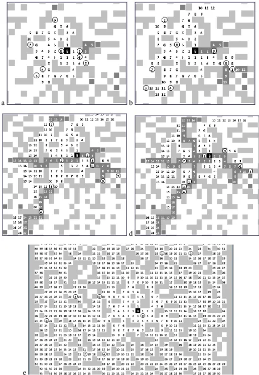 Figure 6: Resolution of the foraging problem with 10 c-marking agents (with Setup 1). Trails are represented in dark grey colour