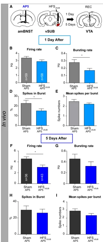 Figure 5. LTP in amBNST Neurons Is Permissive for VTA Dopamine Potentiation