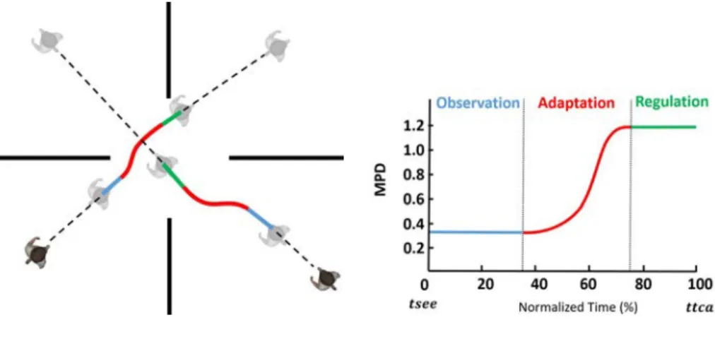 Figure 2.9 – Collision avoidance between two pedestrians can be described as a 3 step process (Observation (blue), reaction (red) and regulation (green)) when considering the evolution of the minimum predicted distance (mpd), which is the future distance o