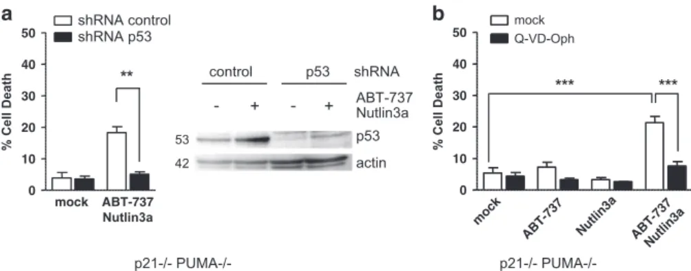 Figure 4 p53 favors sensitivity to ABT-737 in the absence of PUMA. (a) HCT116 p21 − / − PUMA − / − cells were infected with control or p53 shRNAs before treatment for 24 h with 2 μ M ABT-737 and 10 μ M Nutlin3a and western blot and cell death analysis