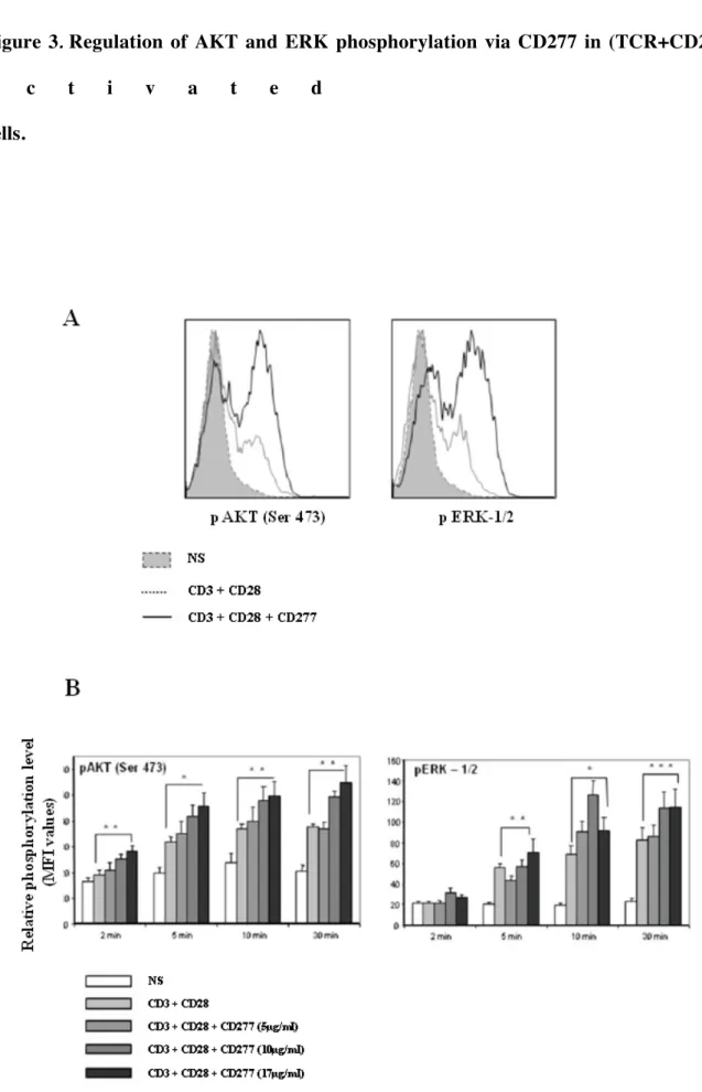 Figure  3. Regulation  of  AKT  and  ERK  phosphorylation  via  CD277  in  (TCR+CD28)-