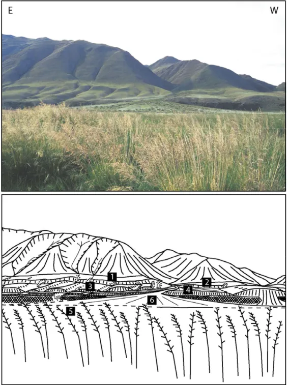Figure II.7 : A) Photo d’un système de terrasses alluviales le long d’une rivière principale,  (direction E-W sur la photo), drainant la chaîne de Sayan occidentale