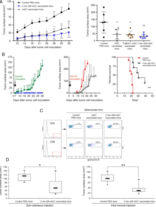 Figure  5:  Prophylactic  DC-vaccination  in  Panc02  pancreatic  adenocarcinoma  model