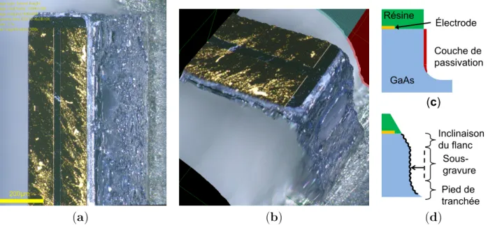 Figure 3.11 – ( a ) Vue au microscope optique avec une inclinaison de 30 ◦ d’un flanc de poutre.
