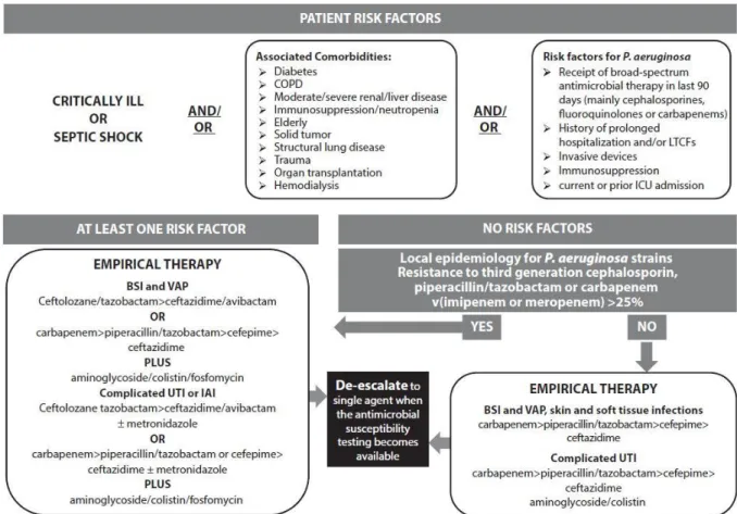 Figure  3  Schéma  clinique  à  suivre  pour  délivrer  l’  antibiotique  approprié  contre  Pseudomonas  aeruginosa.(Figure  1  de  Bassetti, et al