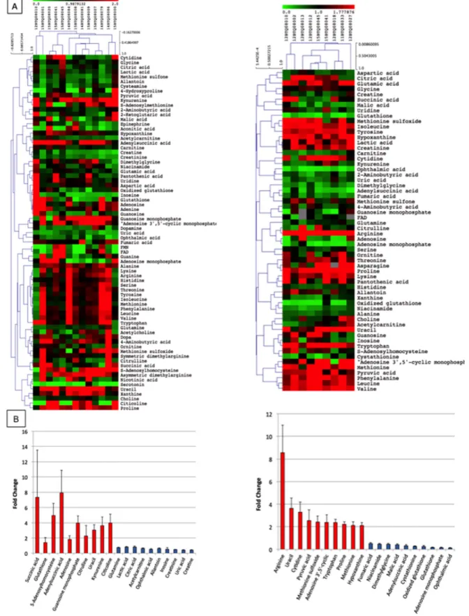 Figure 5: Metabolomic profile of EXPEL extruded fluids from CRC and CRC-LM.  (A) Pearson correlation clustering of  general metabolites quantified in the EXPEL extruded fluids from CRC (on the left, n=13) and CRC-LM (on the right, n=9)