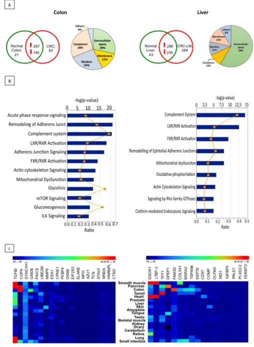 Figure 2: Proteomic analysis of EXPEL extruded fluid identifies potential cancer biomarkers