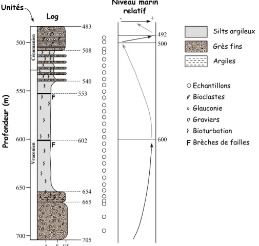 Figure I-9 : Log stratigraphique simplifié du forage MAR501 (modifié d’après données ANDRA 1996)  et localisation des échantillons