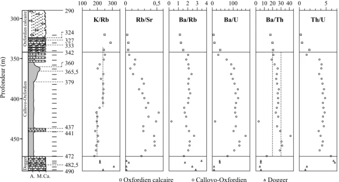 Figure III-5 : Evolutions des rapports élémentaires (ppm/ppm) en fonction de la profondeur