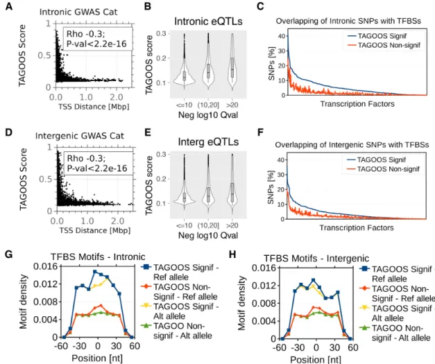 Figure 4. Functional properties of the TAGOOS scores. (A, D) Scatter plots and Spearman correlation coefficient and P-value of the distance to the nearest transcription start sites (TSS) and the TAGOOS scores for unseen GWAS Catalog SNPs in intronic (A) an