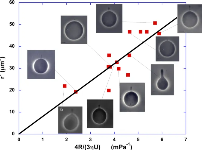 Figure 6: Variation of a parameter scaling as the cube of the tube radius versus the reduced variable  4R/3ηU
