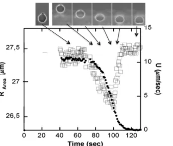 Figure  8:  Variation  of (A/4 π) 1/2  ( )  and  the  velocity  ( ● )  versus  time.  Top:  pictures  of  the  vesicle  at  various times of the sedimentation process