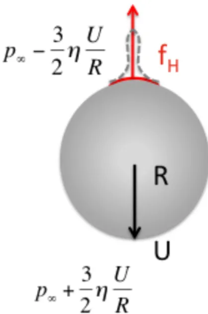 Figure 5 Schematic of a sedimenting vesicle. 