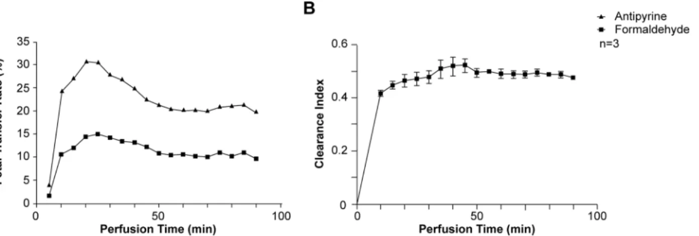 Fig 1. Characterization of transplacental formaldehyde transfer. (A) Fetal transfer rate of antipyrine (solid dark triangles) and formaldehyde (solid dark squares) and (B) clearance versus time, during 90 min of perfusion (mean ± SEM of 3 independent human