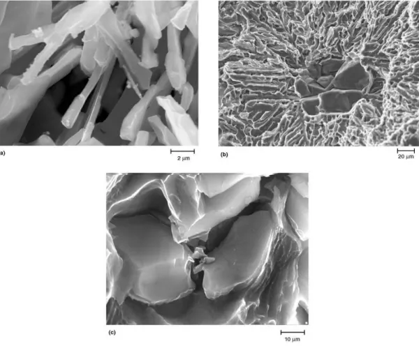 Figure 2-3 Morphology of the Si crystals in Al-Si alloys observed with Scanning Electron Microscope: 
