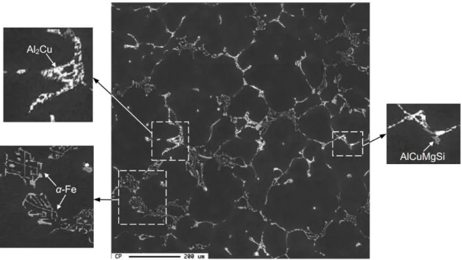 Figure 2-11 Backscattered electron image of an as-cast AlCuSiFe based alloy (E. M. Elgallad, 2010) 
