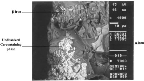 Figure 2-21 SEM micrograph showing fracture of both iron and copper intermetallics in an Al-Si  alloy with 0.8%Fe (Ma et al., 2014)