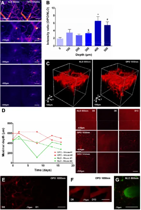 Fig. 2. OPO is more efficient than NLO to excite QD655 in the healthy mouse brain and it  increases the maximal achievable imaging depth